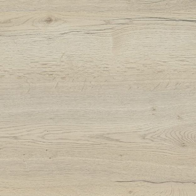 Picture of White Halifax Oak ABS 23 x 0.8MMX75MTR ST37