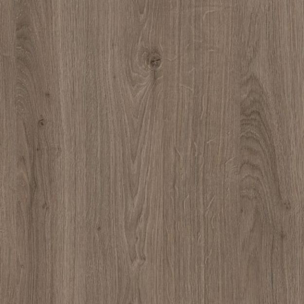 Picture of Truffle Brown Denver Oak 23 X 0.8MMX75MTR ST10