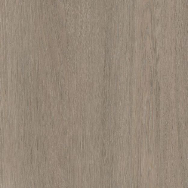 Picture of Beige Grey Lorenzo Oak ABS 23 x 0.8MMX75MTR ST19