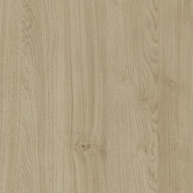 Picture of Natural Kendal Oak ST12 ABS 23X2MM 75MTR