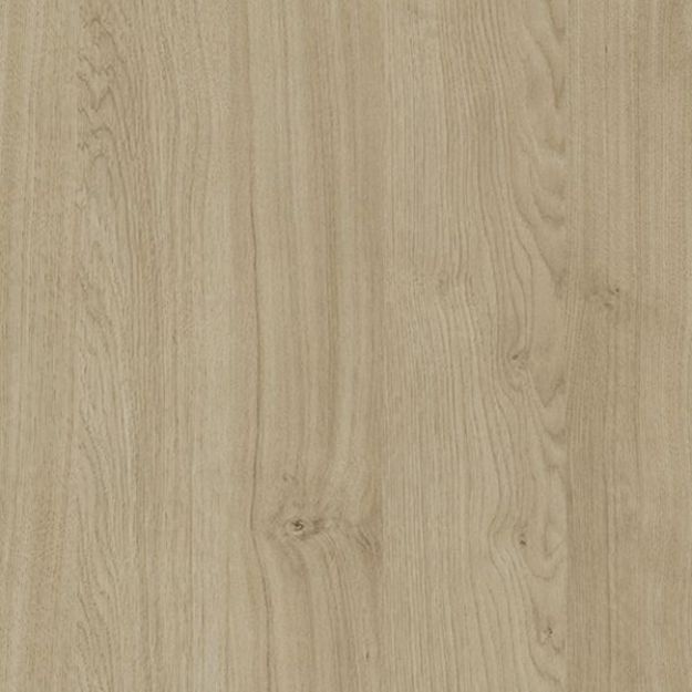 Picture of Natural Kendal Oak ST12 ABS 23X2MM 75MTR