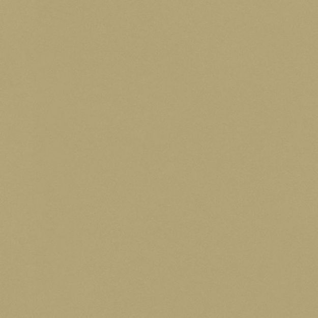 Picture of Egger Laminate E571 Gold Metallic ST2 3050 X 1310 X 0.8mm